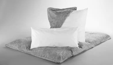 Anti-allergeenhoes hoofdkussen